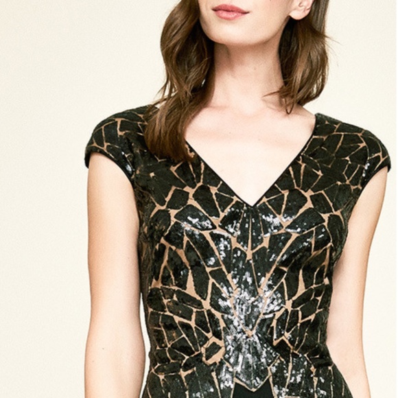 Tadashi Shoji Peake Sequin Embroidered Gown - Picture 5 of 8